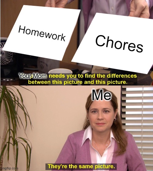 Upvote if you feel the same way! | Homework; Chores; Your Mom; Me | image tagged in memes,they're the same picture | made w/ Imgflip meme maker