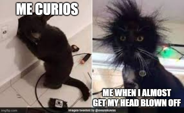 STUPID CAT | ME CURIOS; ME WHEN I ALMOST GET MY HEAD BLOWN OFF | image tagged in funny cats | made w/ Imgflip meme maker