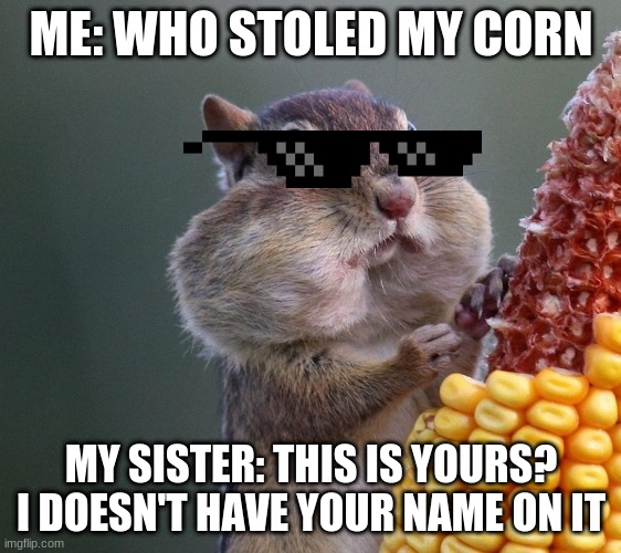 Thanksgiving Squirrel | ME: WHO STOLED MY CORN; MY SISTER: THIS IS YOURS? I DOESN'T HAVE YOUR NAME ON IT | image tagged in thanksgiving squirrel | made w/ Imgflip meme maker