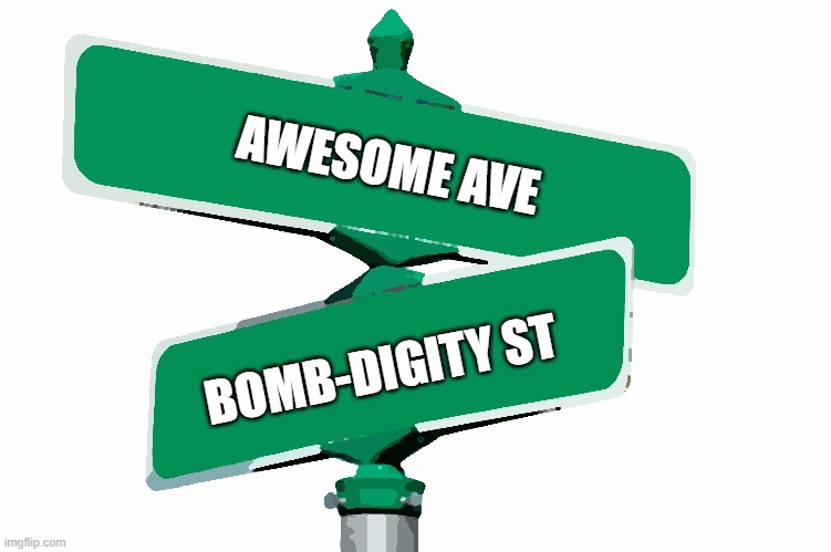AWESOME AND BOMBDIGITY | AWESOME AVE; BOMB-DIGITY ST | image tagged in blank street signs | made w/ Imgflip meme maker
