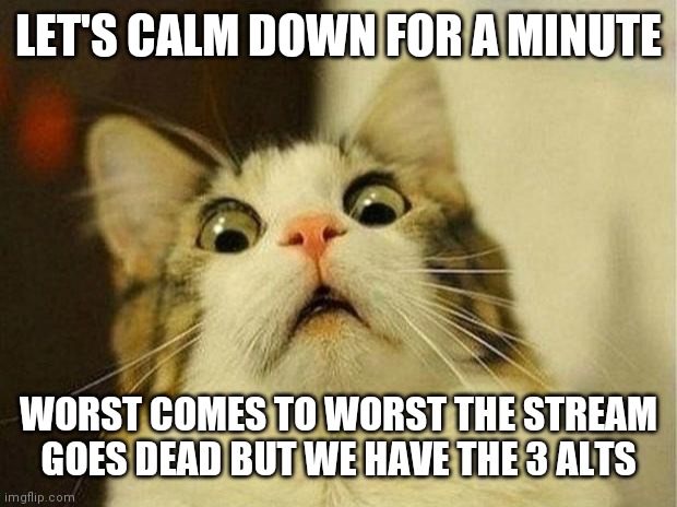 Let's calm down folks. | LET'S CALM DOWN FOR A MINUTE; WORST COMES TO WORST THE STREAM GOES DEAD BUT WE HAVE THE 3 ALTS | image tagged in memes,scared cat | made w/ Imgflip meme maker
