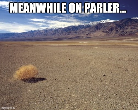 Meanwhile on Parler | MEANWHILE ON PARLER... | image tagged in desert tumbleweed | made w/ Imgflip meme maker