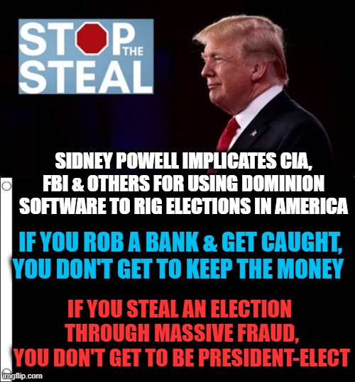 DEMOCRATS ~~ The Party of Vote Fraud | SIDNEY POWELL IMPLICATES CIA, FBI & OTHERS FOR USING DOMINION SOFTWARE TO RIG ELECTIONS IN AMERICA; IF YOU STEAL AN ELECTION 
THROUGH MASSIVE FRAUD,
YOU DON'T GET TO BE PRESIDENT-ELECT; IF YOU ROB A BANK & GET CAUGHT,
YOU DON'T GET TO KEEP THE MONEY | image tagged in politics,political meme,election fraud,stop the steal,vote fraud,democrat socialists | made w/ Imgflip meme maker
