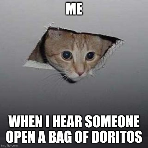 Ceiling Cat | ME; WHEN I HEAR SOMEONE OPEN A BAG OF DORITOS | image tagged in memes,ceiling cat | made w/ Imgflip meme maker