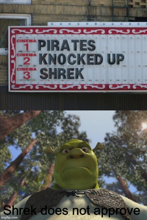 Shrek does not approve | image tagged in shrek angry | made w/ Imgflip meme maker