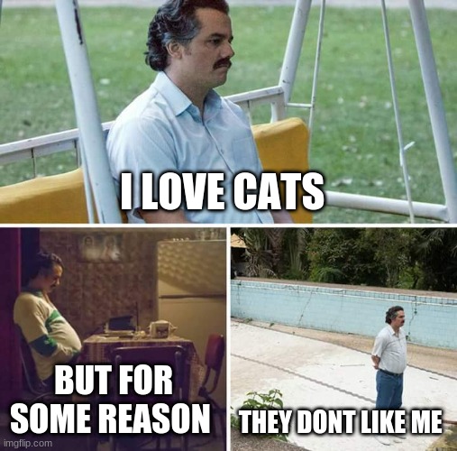 Sad Pablo Escobar | I LOVE CATS; BUT FOR SOME REASON; THEY DONT LIKE ME | image tagged in memes,sad pablo escobar | made w/ Imgflip meme maker