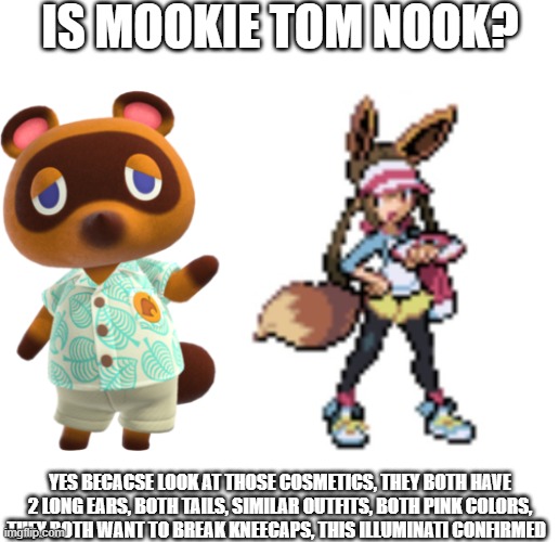 Tomkie | IS MOOKIE TOM NOOK? YES BECACSE LOOK AT THOSE COSMETICS, THEY BOTH HAVE 2 LONG EARS, BOTH TAILS, SIMILAR OUTFITS, BOTH PINK COLORS, THEY BOTH WANT TO BREAK KNEECAPS, THIS ILLUMINATI CONFIRMED | made w/ Imgflip meme maker