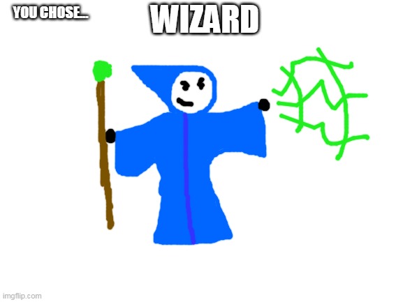 Blank White Template | YOU CHOSE... WIZARD | image tagged in blank white template | made w/ Imgflip meme maker