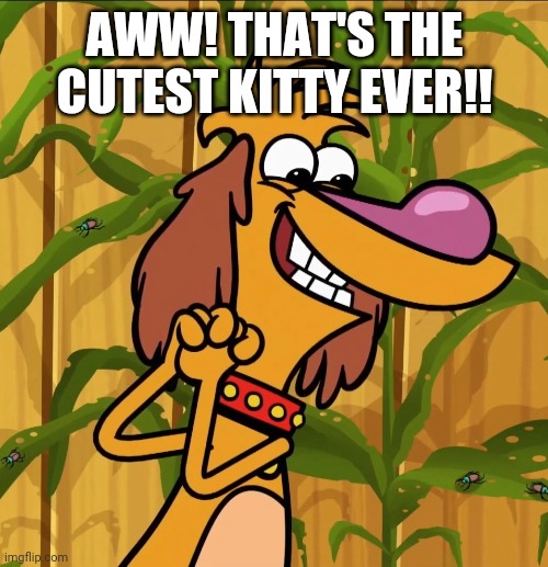 AWW! THAT'S THE CUTEST KITTY EVER!! | made w/ Imgflip meme maker