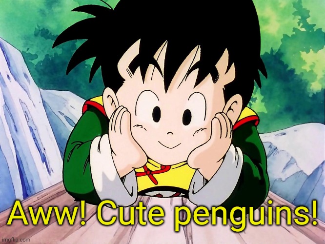Cute Gohan (DBZ) | Aww! Cute penguins! | image tagged in cute gohan dbz | made w/ Imgflip meme maker