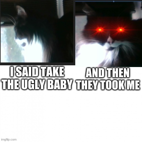 uhh | AND THEN THEY TOOK ME; I SAID TAKE THE UGLY BABY | image tagged in rocko | made w/ Imgflip meme maker