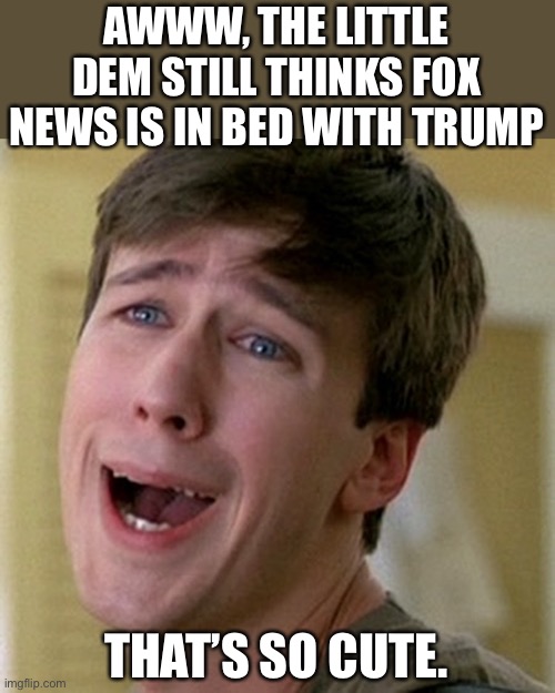 aww so cute | AWWW, THE LITTLE DEM STILL THINKS FOX NEWS IS IN BED WITH TRUMP THAT’S SO CUTE. | image tagged in aww so cute | made w/ Imgflip meme maker