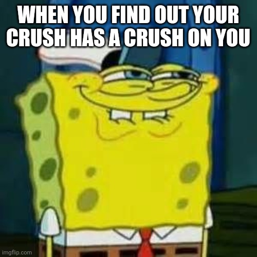 Your crush has a crush on you | WHEN YOU FIND OUT YOUR CRUSH HAS A CRUSH ON YOU | image tagged in your crush has a crush on you | made w/ Imgflip meme maker