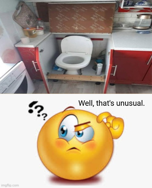 Kitchen toilet | image tagged in well that's unusual,memes,meme,you had one job,kitchen,toilet | made w/ Imgflip meme maker