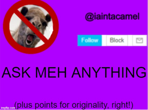 I GET 3 PASSES BECAUSE YES | ASK MEH ANYTHING; (plus points for originality, right!) | image tagged in iaintacamel | made w/ Imgflip meme maker
