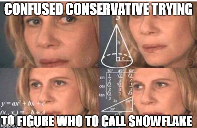 Everyone's a snowflake | CONFUSED CONSERVATIVE TRYING; TO FIGURE WHO TO CALL SNOWFLAKE | image tagged in math lady/confused lady | made w/ Imgflip meme maker