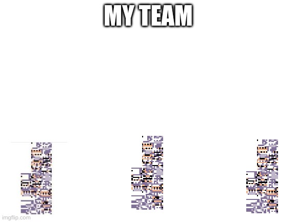Blank White Template | MY TEAM | image tagged in blank white template | made w/ Imgflip meme maker