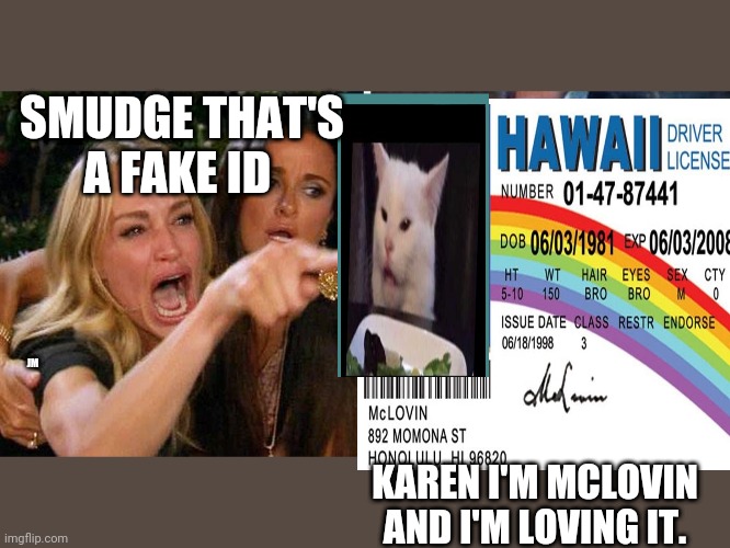 SMUDGE THAT'S A FAKE ID; JM; KAREN I'M MCLOVIN AND I'M LOVING IT. | image tagged in smudge the cat | made w/ Imgflip meme maker