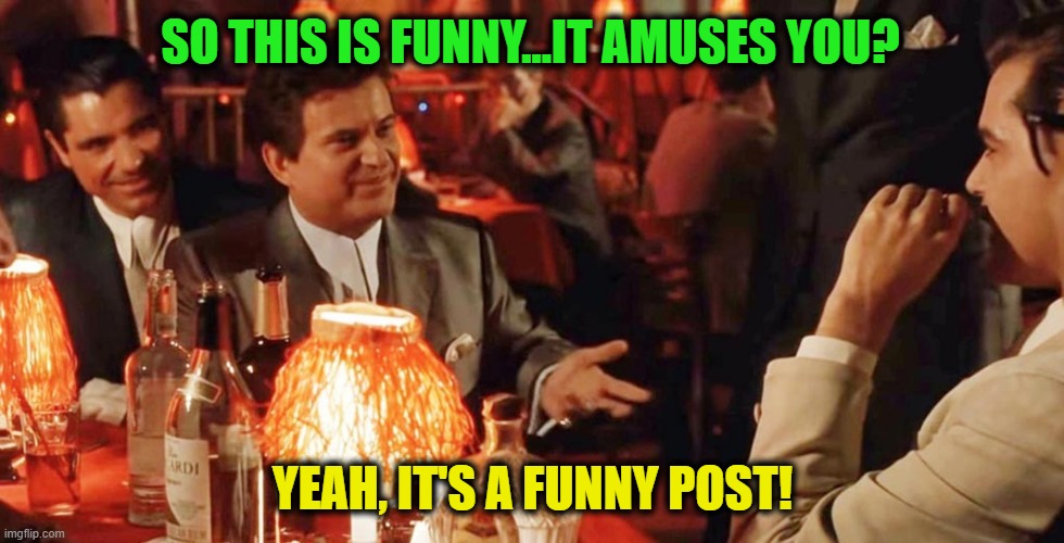 SO THIS IS FUNNY...IT AMUSES YOU? YEAH, IT'S A FUNNY POST! | image tagged in goodfellas - funny post | made w/ Imgflip meme maker