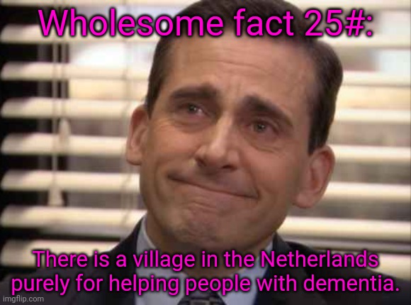 wholesome | Wholesome fact 25#:; There is a village in the Netherlands purely for helping people with dementia. | image tagged in wholesome | made w/ Imgflip meme maker
