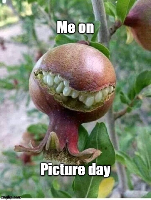 Picture Day | Me on; Picture day | image tagged in smiling fruit,picture day,grin,funny,fun,weird | made w/ Imgflip meme maker