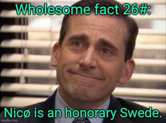 This one's more of a joke than anything. . . | Wholesome fact 26#:; Nicø is an honorary Swede. | image tagged in wholesome | made w/ Imgflip meme maker