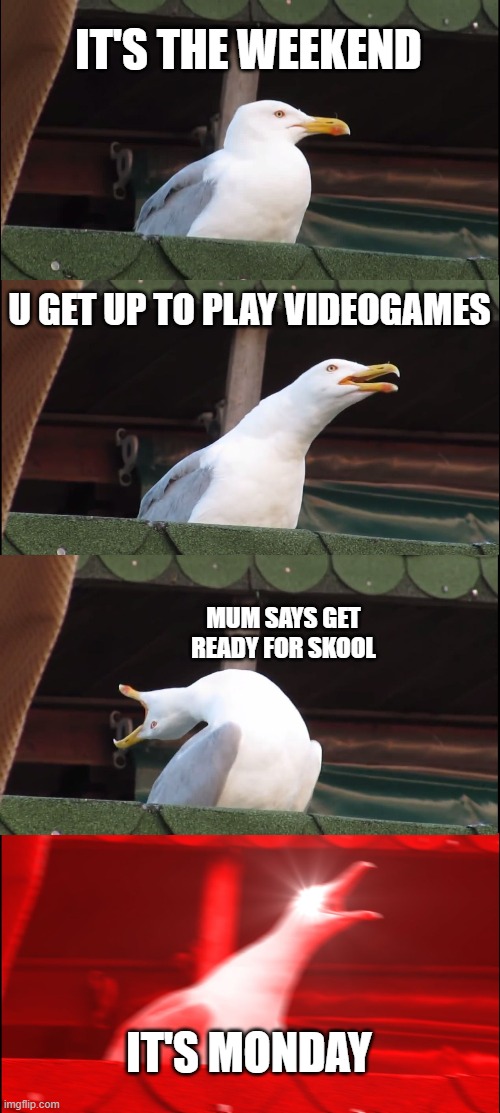 Inhaling Seagull | IT'S THE WEEKEND; U GET UP TO PLAY VIDEOGAMES; MUM SAYS GET READY FOR SKOOL; IT'S MONDAY | image tagged in memes,inhaling seagull | made w/ Imgflip meme maker