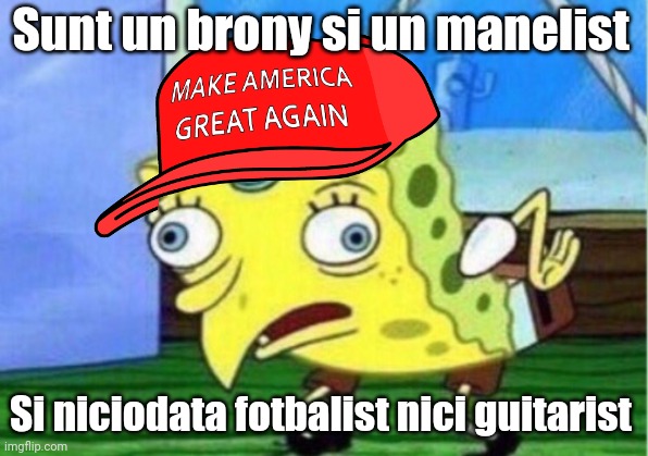 Campania Anti-Manele | Sunt un brony si un manelist; Si niciodata fotbalist nici guitarist | image tagged in memes,funny | made w/ Imgflip meme maker