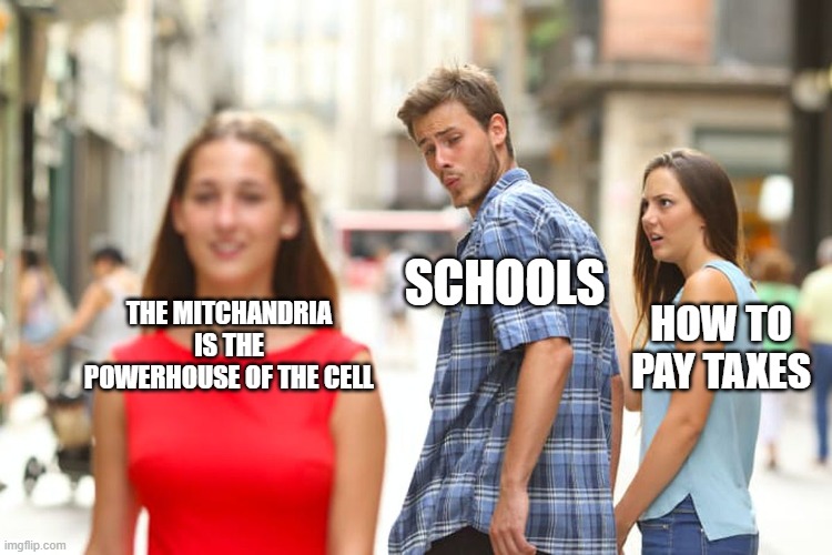 Distracted Boyfriend Meme | THE MITCHANDRIA IS THE POWERHOUSE OF THE CELL SCHOOLS HOW TO PAY TAXES | image tagged in memes,distracted boyfriend | made w/ Imgflip meme maker