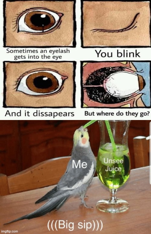 I desparatly need unsee juice. | image tagged in unsee juice | made w/ Imgflip meme maker