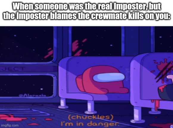 I'm in danger Among Us | When someone was the real Imposter, but the Imposter blames the crewmate kills on you: | image tagged in i'm in danger among us | made w/ Imgflip meme maker
