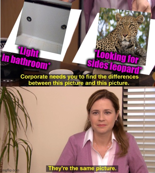 -Eyelushes is great & natural. | *Light in bathroom*; *Looking for sides leopard* | image tagged in memes,they're the same picture,leopard,open your eyes,mother nature,south africa | made w/ Imgflip meme maker