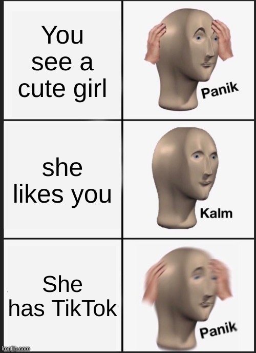Panik Kalm Panik Meme | You see a cute girl; she likes you; She has TikTok | image tagged in memes,panik kalm panik | made w/ Imgflip meme maker