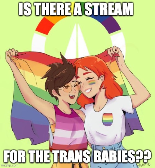 If not I shall make it ;) | IS THERE A STREAM; FOR THE TRANS BABIES?? | made w/ Imgflip meme maker