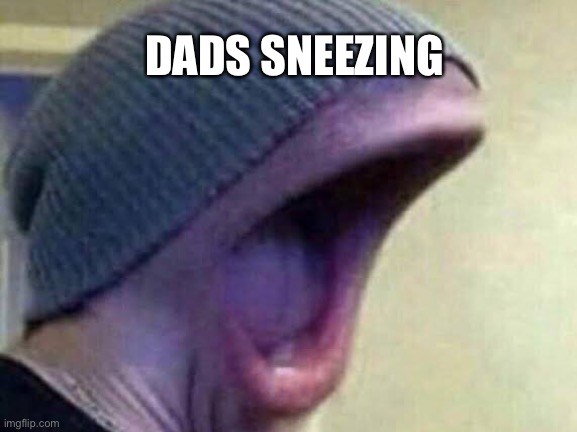 So true | DADS SNEEZING | image tagged in sneeze | made w/ Imgflip meme maker