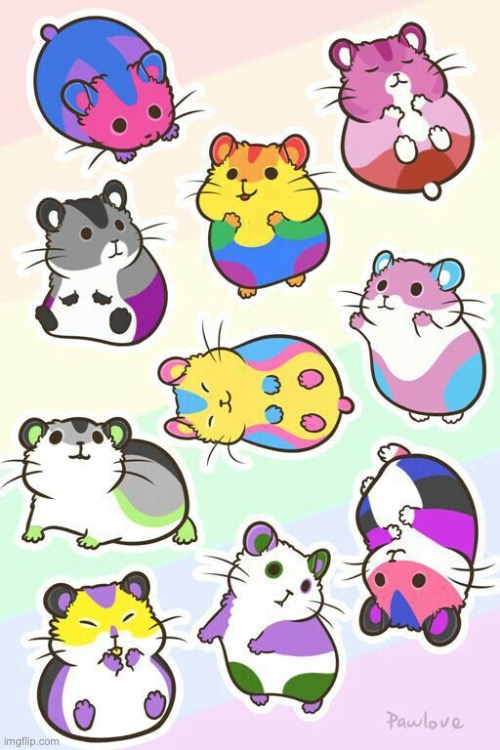 Cute lil' LGBTQ+ hamsters I thought y'all would enjoy :) | made w/ Imgflip meme maker