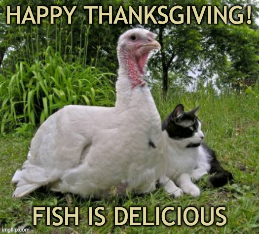Alternate Thanksgiving plans? | HAPPY THANKSGIVING! FISH IS DELICIOUS | image tagged in holidays,thanksgiving,cats,turkey | made w/ Imgflip meme maker