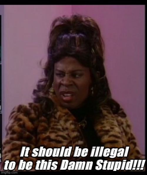 Sheneneh Jenkins (Martin) | It should be illegal to be this Damn Stupid!!! | image tagged in martin sheneneh jenkins lawrence | made w/ Imgflip meme maker