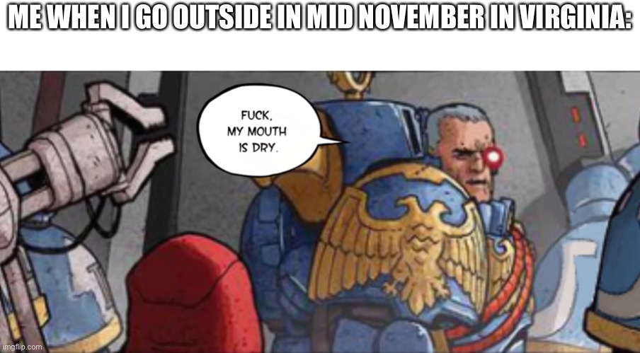 ME WHEN I GO OUTSIDE IN MID NOVEMBER IN VIRGINIA: | made w/ Imgflip meme maker