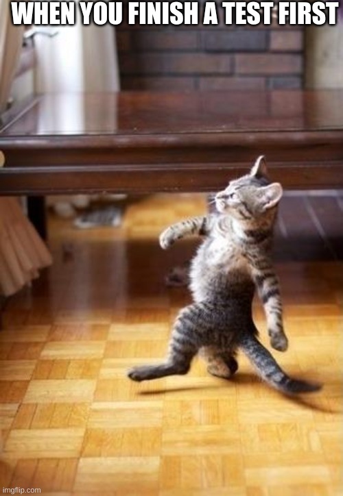 Cool Cat Stroll | WHEN YOU FINISH A TEST FIRST | image tagged in memes,cool cat stroll | made w/ Imgflip meme maker