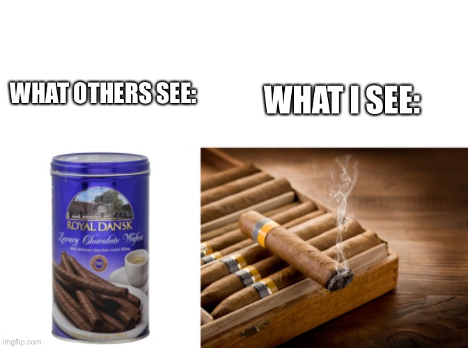 I thought I was eating cigars | WHAT I SEE:; WHAT OTHERS SEE: | image tagged in blank white template,cigar,candy,meme,funny,funny meme | made w/ Imgflip meme maker