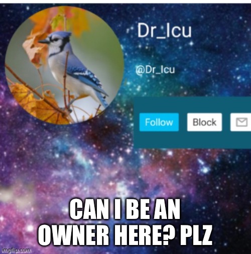 Plz | CAN I BE AN OWNER HERE? PLZ | image tagged in plzzzz | made w/ Imgflip meme maker