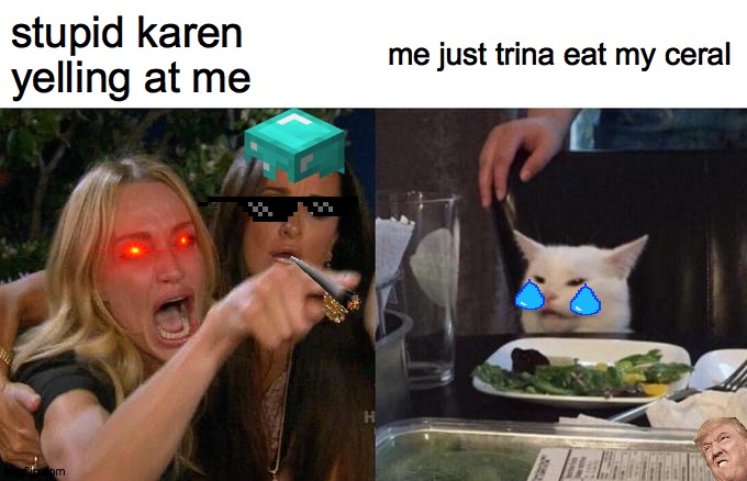 Woman Yelling At Cat Meme | stupid karen yelling at me; me just trina eat my ceral | image tagged in memes,woman yelling at cat | made w/ Imgflip meme maker