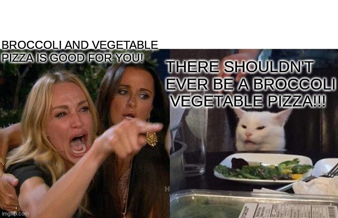 Woman Yelling At Cat | BROCCOLI AND VEGETABLE PIZZA IS GOOD FOR YOU! THERE SHOULDN'T EVER BE A BROCCOLI  VEGETABLE PIZZA!!! | image tagged in memes,woman yelling at cat | made w/ Imgflip meme maker