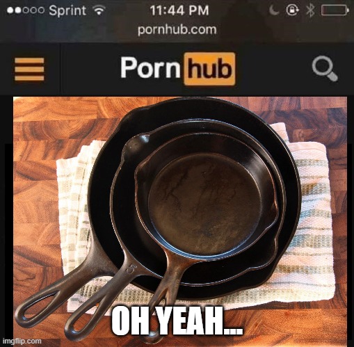 My browser history | OH YEAH... | image tagged in pornhub,pans,pan,pansexual,threesome | made w/ Imgflip meme maker