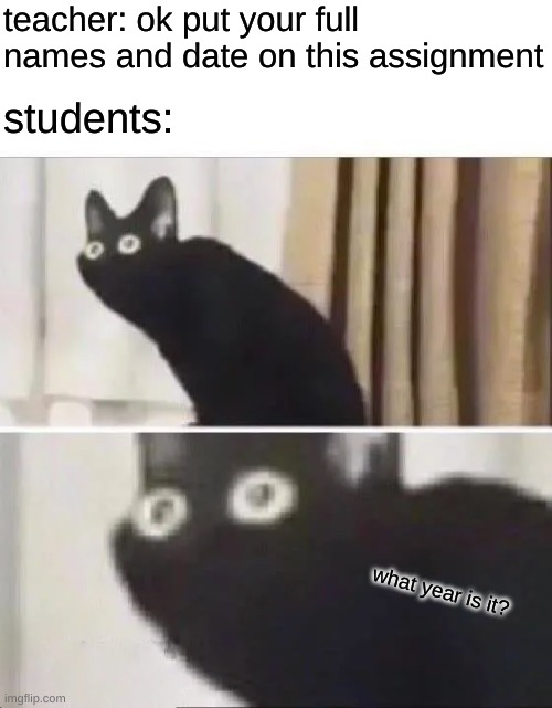 Oh No Black Cat | teacher: ok put your full names and date on this assignment; students:; what year is it? | image tagged in oh no black cat | made w/ Imgflip meme maker