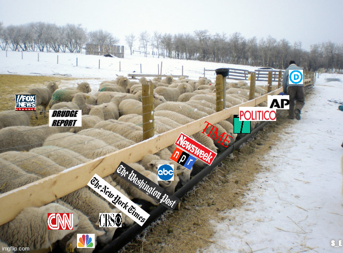 sheep | S_E | image tagged in sheep | made w/ Imgflip meme maker