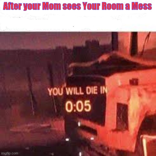 YOU WILL DIE IN 0:05 | After your Mom sees Your Room a Mess | image tagged in you will die in 0 05 | made w/ Imgflip meme maker