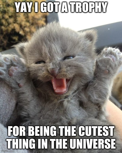 Yay Kitty | YAY I GOT A TROPHY; FOR BEING THE CUTEST THING IN THE UNIVERSE | image tagged in yay kitty,cute cat | made w/ Imgflip meme maker