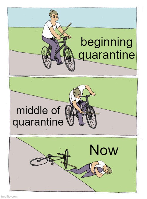 Bike Fall Meme | beginning quarantine; middle of quarantine; Now | image tagged in memes,bike fall | made w/ Imgflip meme maker